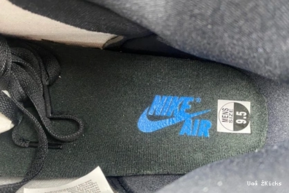 4232 1 DZ5485- 142 Jordan GoAnywhere Air High 0819